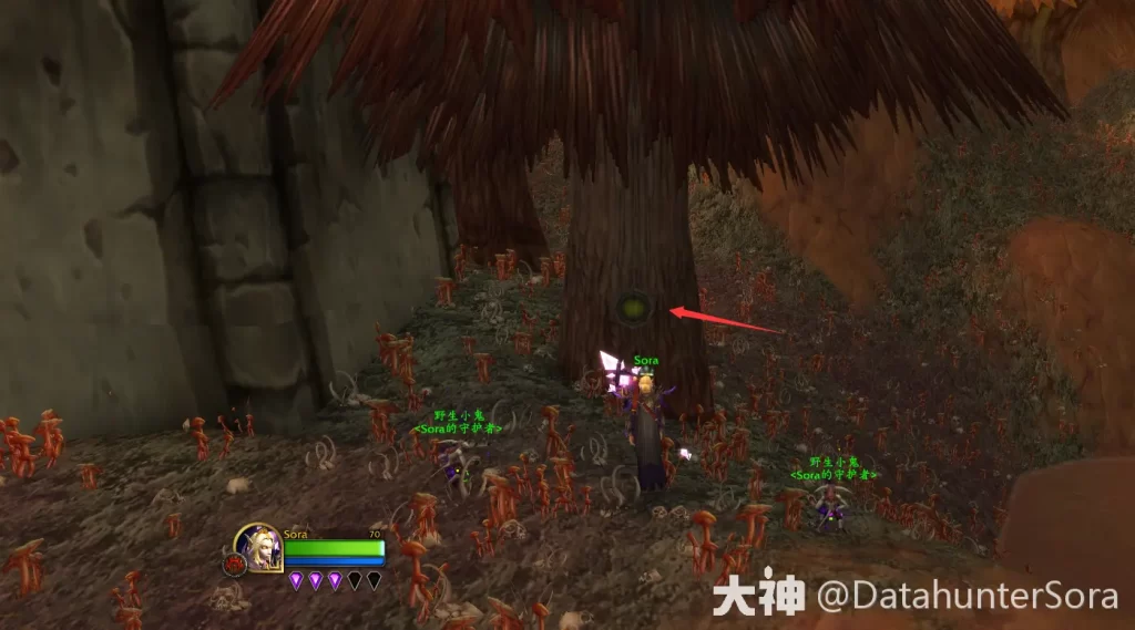 图片[15]-迷人的卡姿兰大眼睛！10.2.5术士眼魔/暴君外观来源-灵魂复苏前瞻资讯