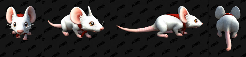 图片[10]-国服即将迎来错过的炉石传说10周年活动！-灵魂复苏前瞻资讯