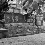 嘻嘻哈哈熊的头像-灵魂复苏前瞻资讯